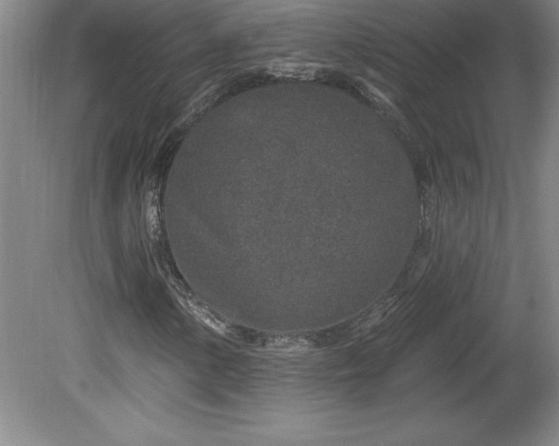 X0000081561154200701221019