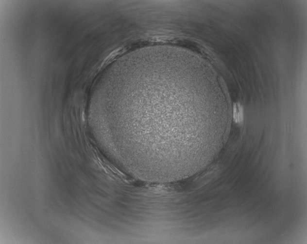 X0000081561155200701221019