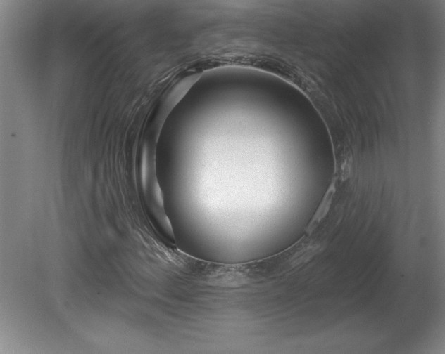 X0000081561156200701221019