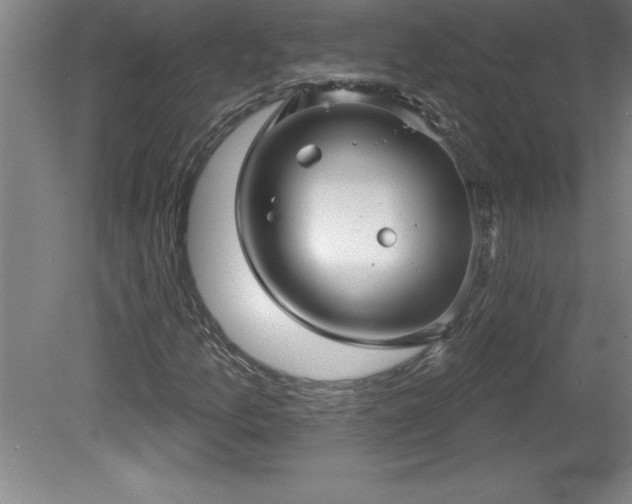 X0000081561157200701221019