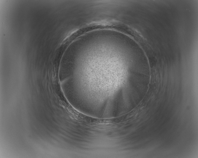 X0000081561158200701221019