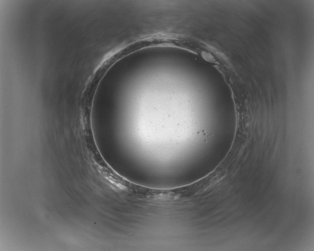 X0000081561160200701221019