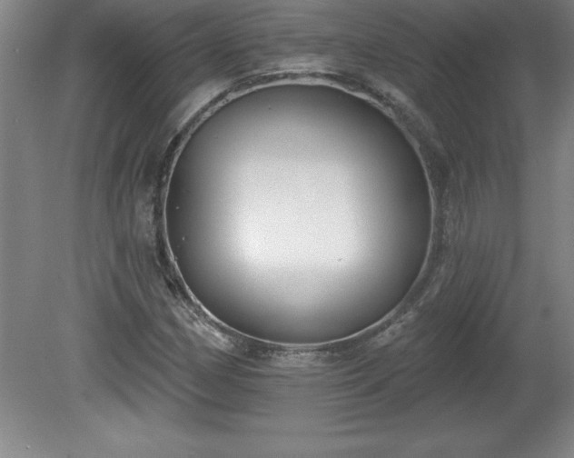 X0000081561162200701221019