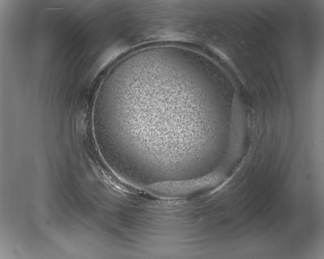X0000081561163200701221019