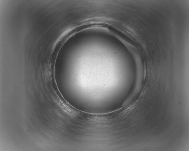 X0000081561164200701221019