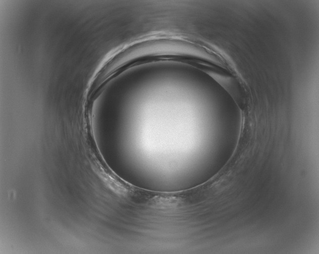 X0000081561168200701221019