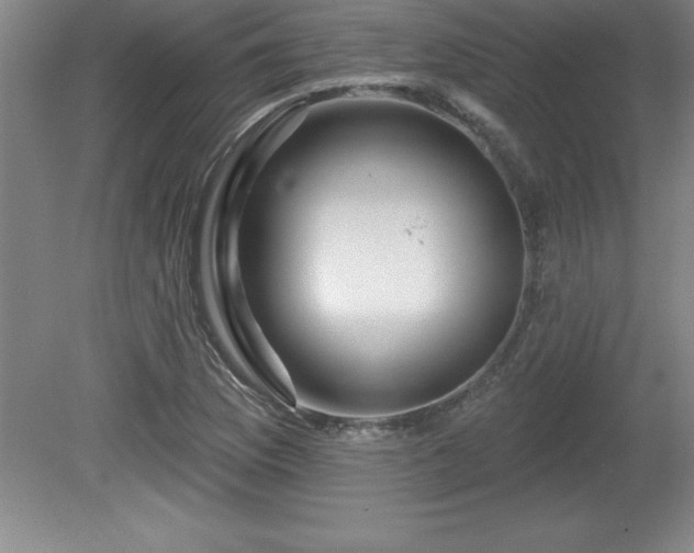 X0000081561169200701221019