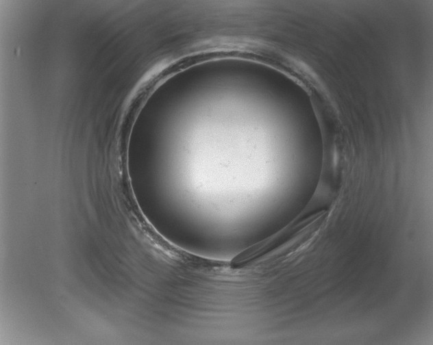 X0000081561172200701221019