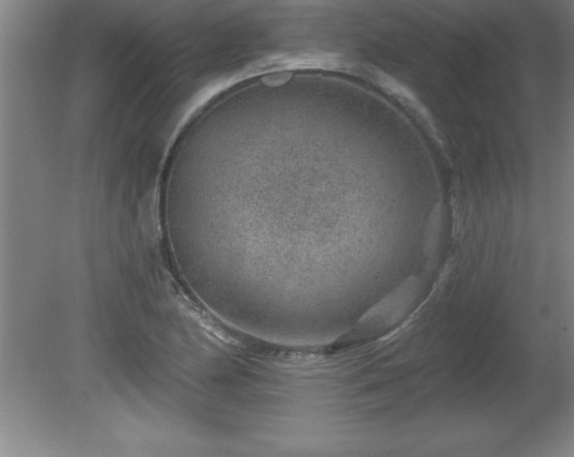 X0000081561174200701221019