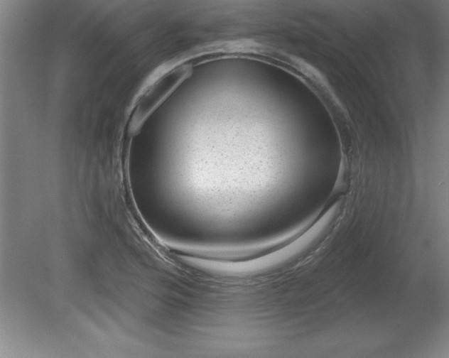 X0000081561176200701221019