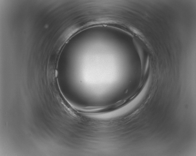 X0000081561177200701221019