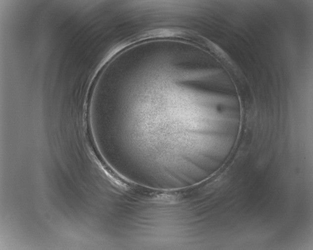 X0000081561178200701221019