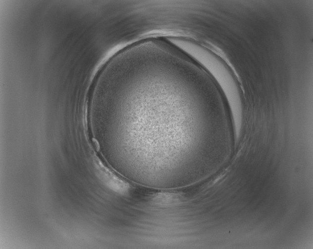 X0000081561179200701221019