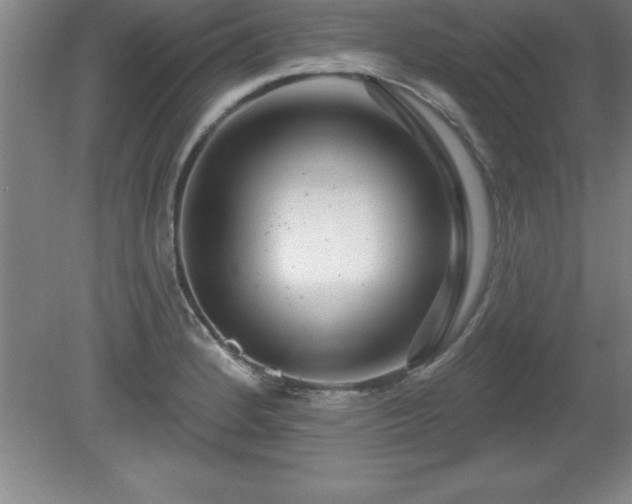 X0000081561184200701221019