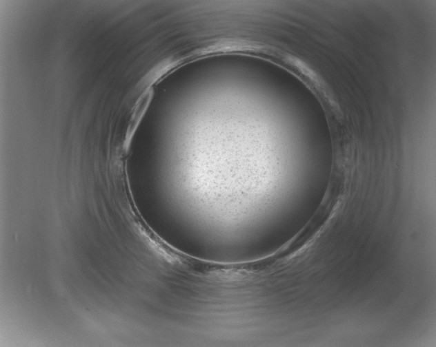 X0000081561185200701221019