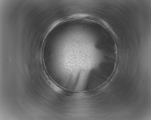 X0000081561186200701221019