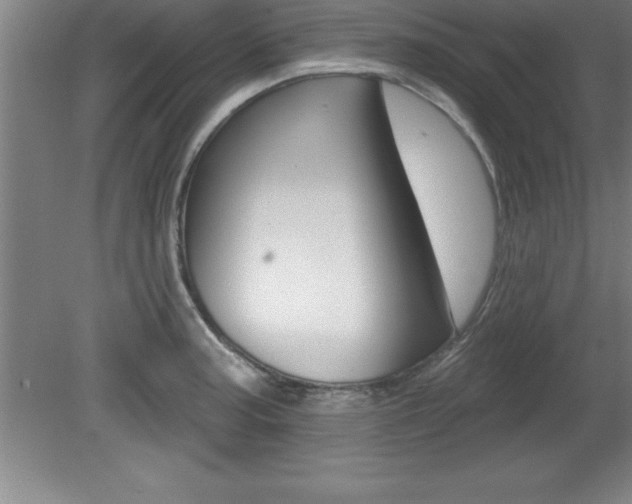 X0000081561187200701221019