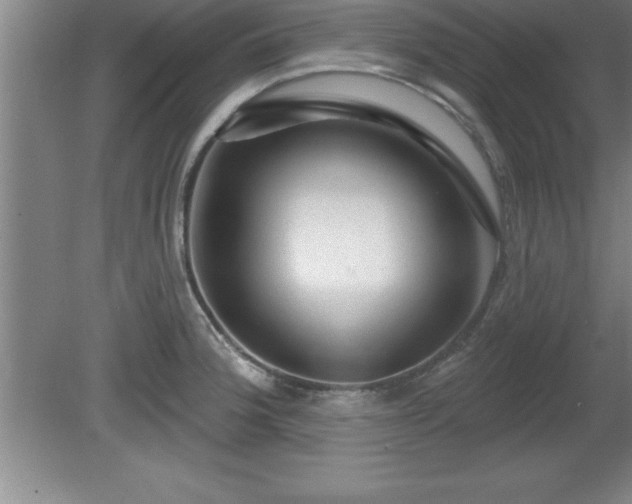 X0000081561188200701221019