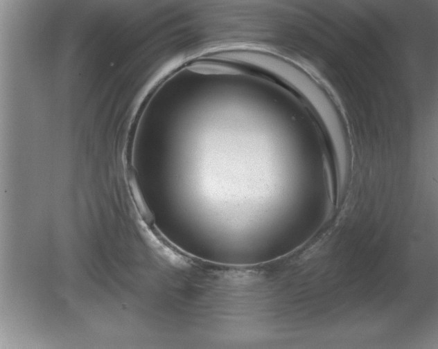 X0000081561189200701221019