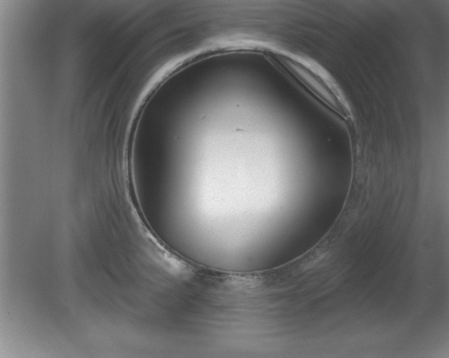 X0000081561191200701221019