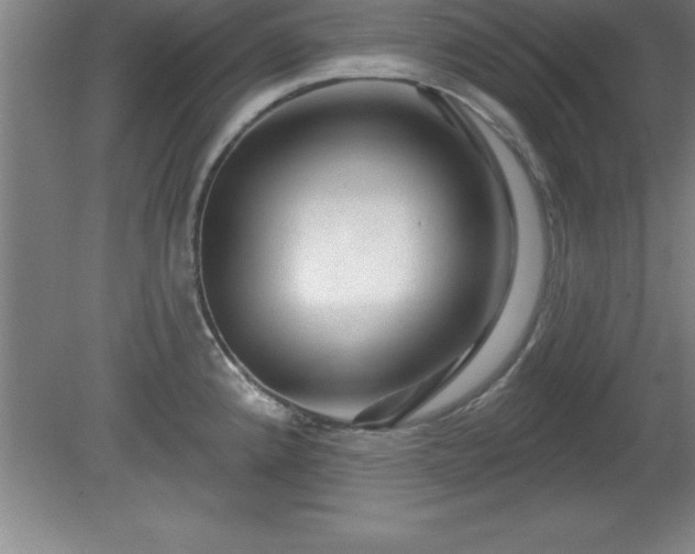 X0000081561192200701221019