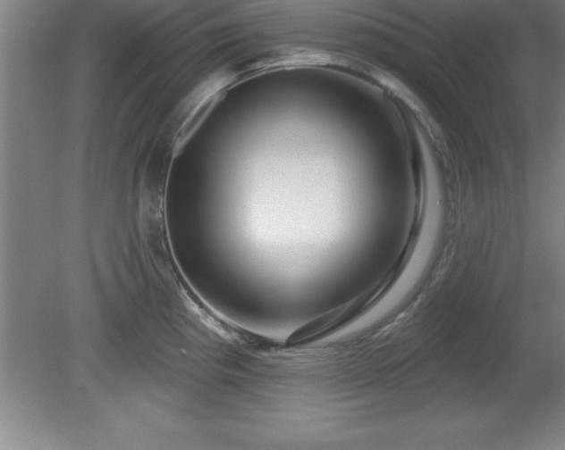 X0000081561193200701221019