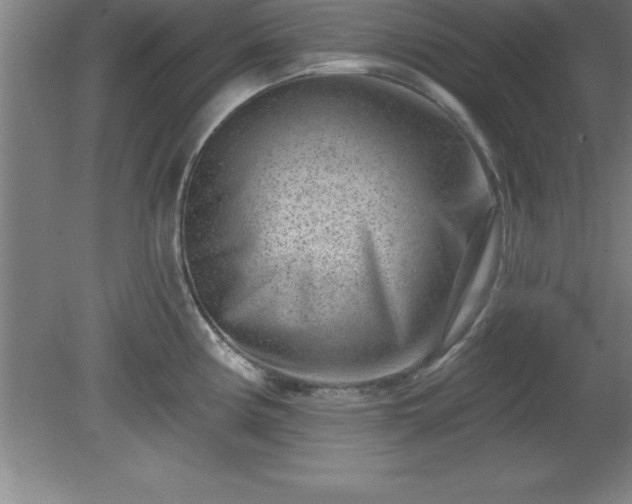 X0000081561194200701221019