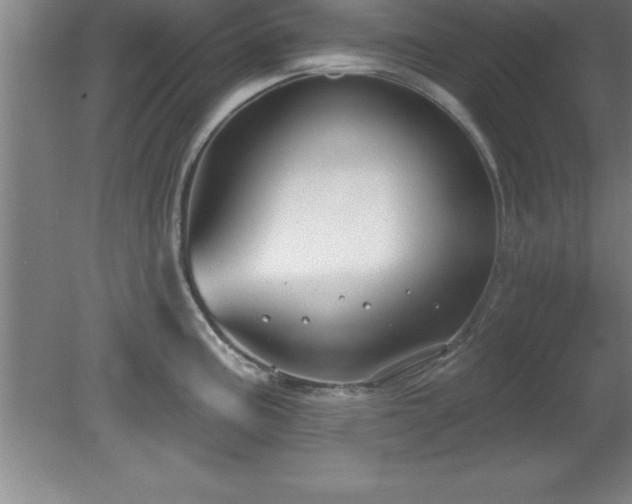 X0000081561195200701221019
