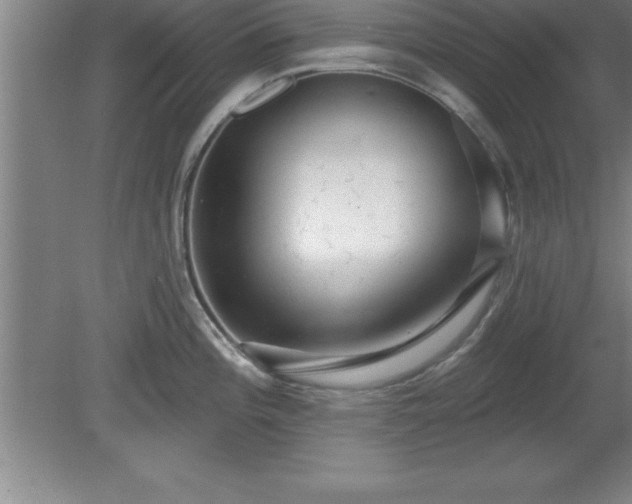 X0000081561196200701221019