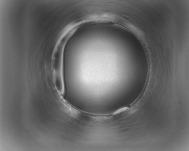X0000081561200200701221019