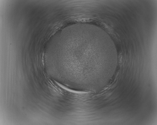 X0000081561202200701221018