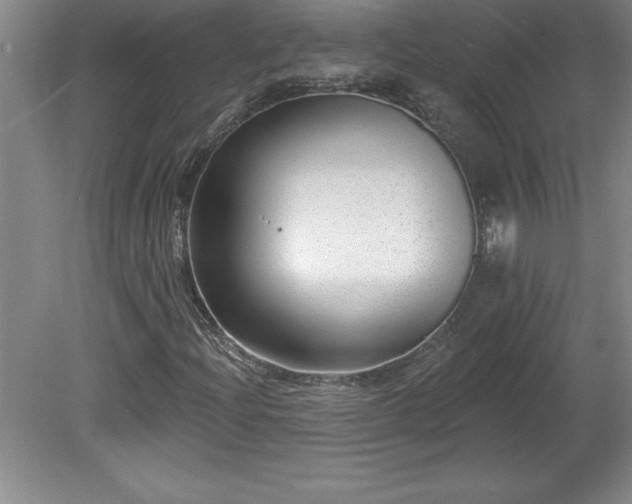 X0000081561204200701221018