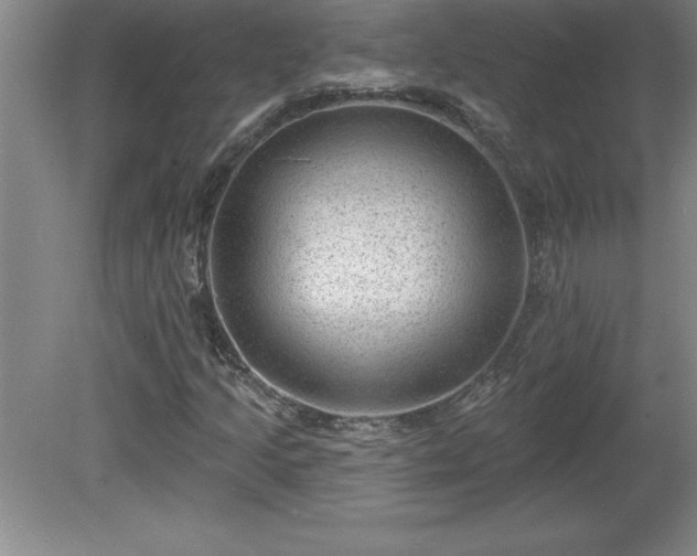 X0000081561205200701221018