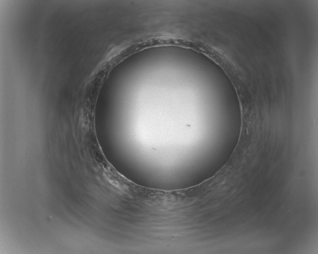 X0000081561207200701221018