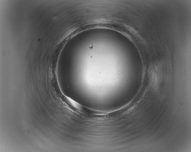 X0000081561209200701221018