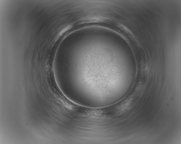 X0000081561210200701221018
