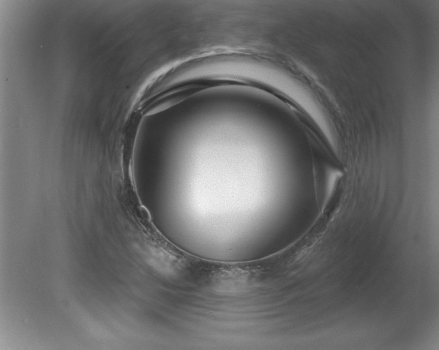 X0000081561214200701221018