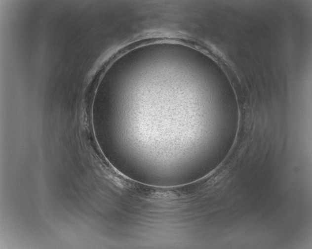 X0000081561215200701221018