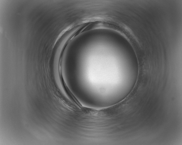 X0000081561218200701221018