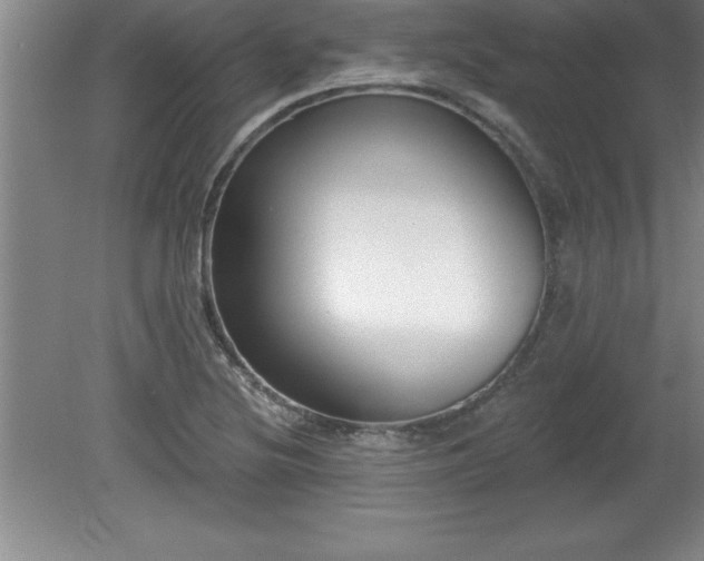 X0000081561220200701221018