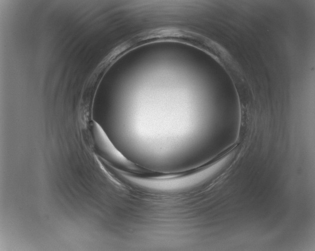 X0000081561225200701221018