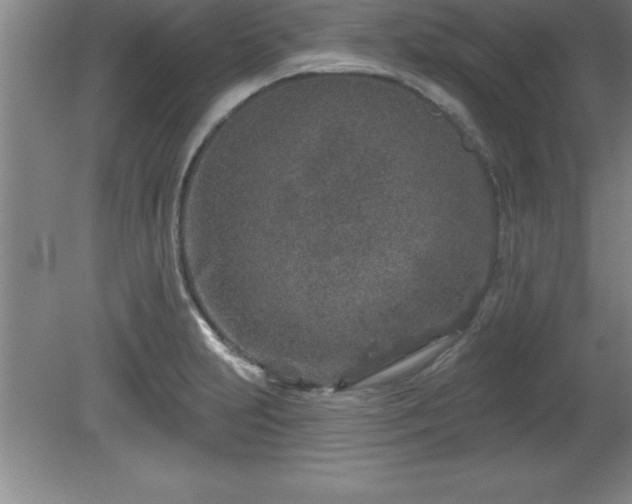 X0000081561231200701221018