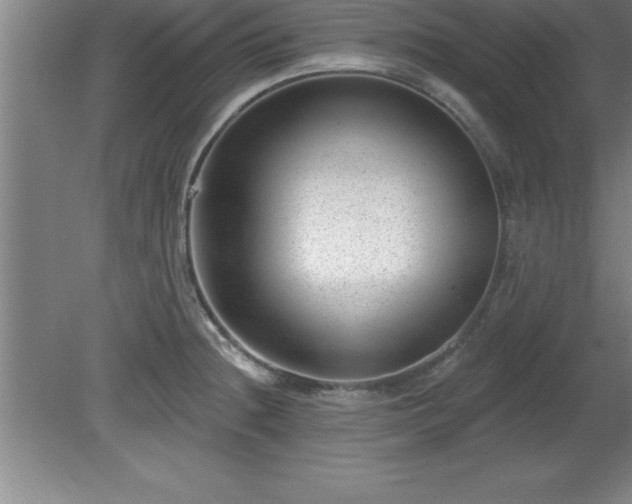 X0000081561236200701221018