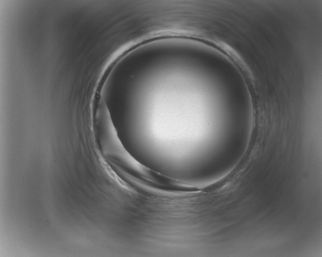 X0000081561238200701221018