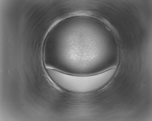 X0000081561240200701221018