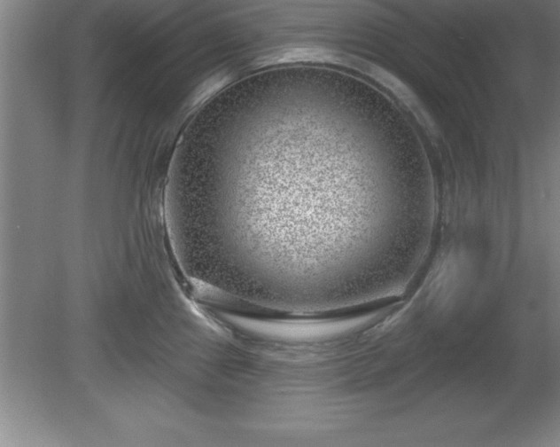 X0000081561241200701221018