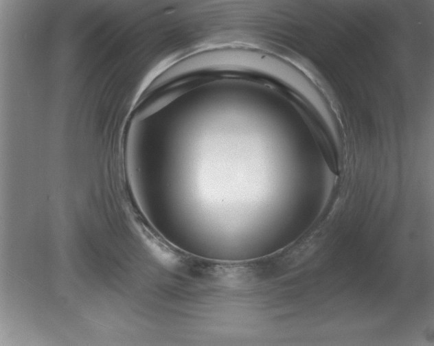 X0000081561242200701221018