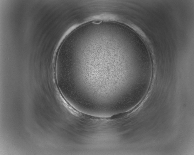 X0000081561248200701221019