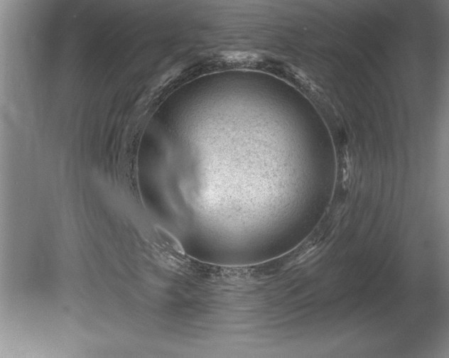 X0000081561249200701221018