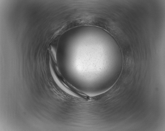 X0000081561250200701221018